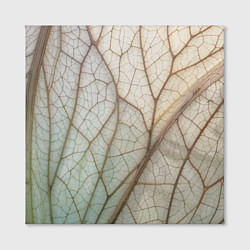 Холст квадратный Прожилки листика, цвет: 3D-принт — фото 2