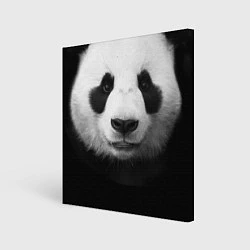 Картина квадратная Взгляд панды