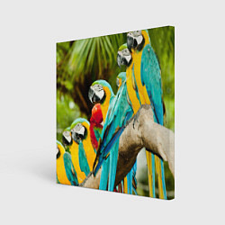 Холст квадратный Попугаи на ветке, цвет: 3D-принт