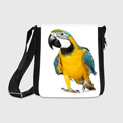 Сумка на плечо Попугай ара, цвет: 3D-принт