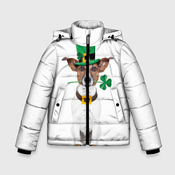 Зимняя куртка для мальчика Ирландия