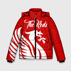Куртка зимняя для мальчика The Reds, цвет: 3D-красный