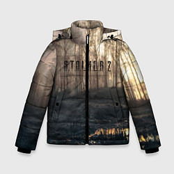 Куртка зимняя для мальчика STALKER 2, цвет: 3D-светло-серый