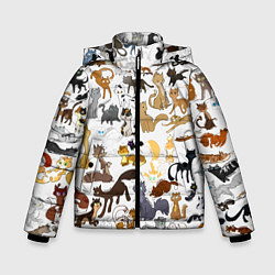 Куртка зимняя для мальчика Котоколлаж 01, цвет: 3D-черный
