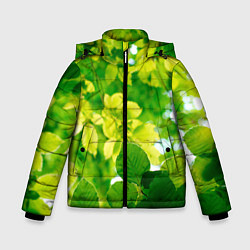 Куртка зимняя для мальчика Листья, цвет: 3D-черный
