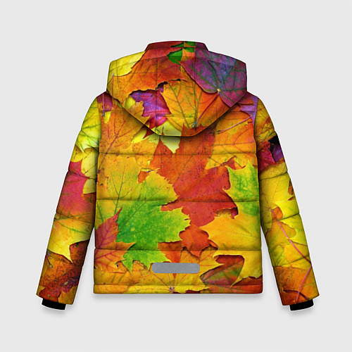 Зимняя куртка для мальчика Осенние листья / 3D-Черный – фото 2
