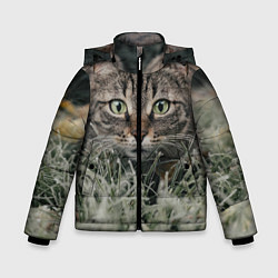 Куртка зимняя для мальчика Кошка, цвет: 3D-черный