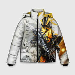 Куртка зимняя для мальчика DESTINY, WARLOCK, цвет: 3D-светло-серый