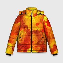Зимняя куртка для мальчика Желтые-листья