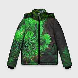 Куртка зимняя для мальчика Зелёный лес России, цвет: 3D-светло-серый