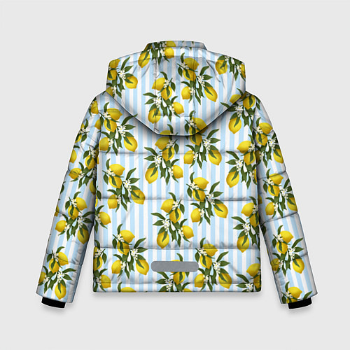 Зимняя куртка для мальчика Ветка летних лимонов - голубые полосы / 3D-Черный – фото 2