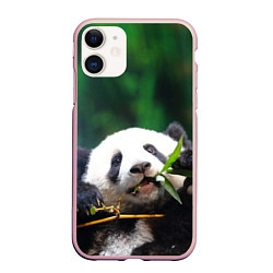 Чехол iPhone 11 матовый Панда на ветке, цвет: 3D-светло-розовый