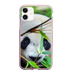 Чехол iPhone 11 матовый Панда в лесу, цвет: 3D-светло-розовый