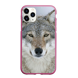 Чехол iPhone 11 Pro матовый Милый волк, цвет: 3D-малиновый