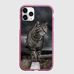 Чехол iPhone 11 Pro матовый Кот, цвет: 3D-малиновый