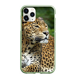Чехол iPhone 11 Pro матовый Лик леопарда, цвет: 3D-салатовый