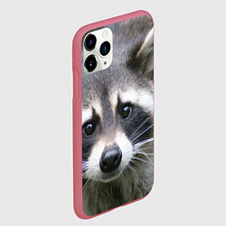 Чехол iPhone 11 Pro матовый Озадаченный енот, цвет: 3D-малиновый — фото 2