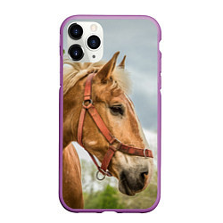 Чехол iPhone 11 Pro матовый Игривая лошадка, цвет: 3D-фиолетовый