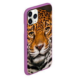 Чехол iPhone 11 Pro матовый Взгляд ягуара, цвет: 3D-фиолетовый — фото 2