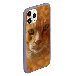 Чехол iPhone 11 Pro матовый Рыжий котик, цвет: 3D-серый — фото 2