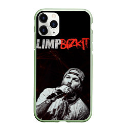 Чехол iPhone 11 Pro матовый Limp Bizkit, цвет: 3D-салатовый