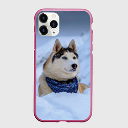 Чехол iPhone 11 Pro матовый Хаски, цвет: 3D-малиновый