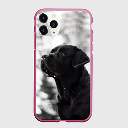 Чехол iPhone 11 Pro матовый Лабрадор Марк, цвет: 3D-малиновый