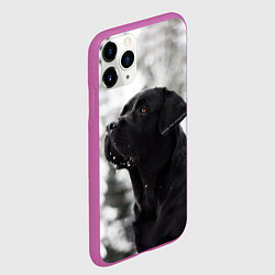 Чехол iPhone 11 Pro матовый Лабрадор Марк, цвет: 3D-фиолетовый — фото 2