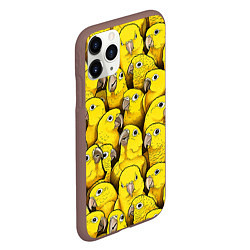 Чехол iPhone 11 Pro матовый Попугаи, цвет: 3D-коричневый — фото 2