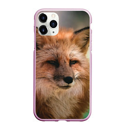 Чехол iPhone 11 Pro матовый Строгая лисица, цвет: 3D-розовый