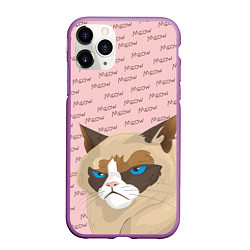 Чехол iPhone 11 Pro матовый Angry Cat Злой кот, цвет: 3D-фиолетовый
