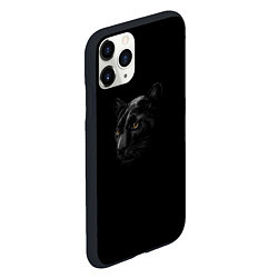 Чехол iPhone 11 Pro матовый Пантера во мгле, цвет: 3D-черный — фото 2