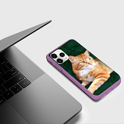 Чехол iPhone 11 Pro матовый Мейн кун рыжий кот, цвет: 3D-фиолетовый — фото 2