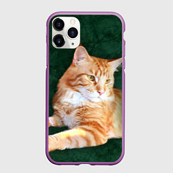 Чехол iPhone 11 Pro матовый Мейн кун рыжий кот, цвет: 3D-фиолетовый