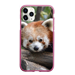 Чехол iPhone 11 Pro матовый Красная панда
