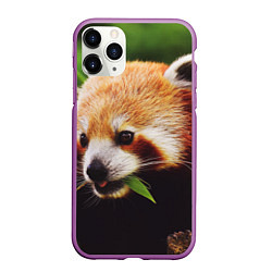 Чехол iPhone 11 Pro матовый Красная милая панда