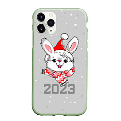 Чехол iPhone 11 Pro матовый Белый кролик в шарфе 2023, цвет: 3D-салатовый
