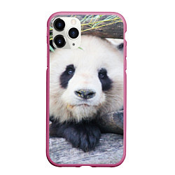 Чехол iPhone 11 Pro матовый Панда отдыхает, цвет: 3D-малиновый