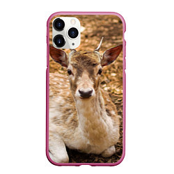 Чехол iPhone 11 Pro матовый Хороший олень