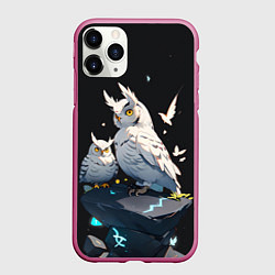 Чехол iPhone 11 Pro матовый Филины и магия, цвет: 3D-малиновый