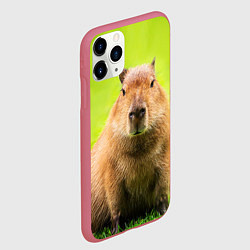 Чехол iPhone 11 Pro матовый Capybara on green grass, цвет: 3D-малиновый — фото 2