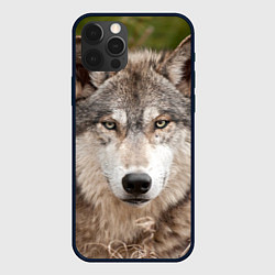 Чехол для iPhone 12 Pro Max Волк таежный, цвет: 3D-черный