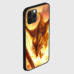 Чехол для iPhone 12 Pro Max Дракон, цвет: 3D-черный — фото 2