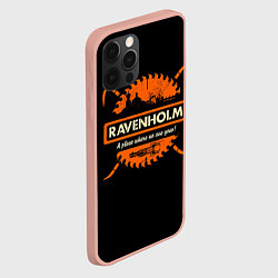 Чехол для iPhone 12 Pro Max Ravenholm, цвет: 3D-светло-розовый — фото 2