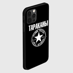 Чехол для iPhone 12 Pro Max Тараканы: панк-рок, цвет: 3D-черный — фото 2