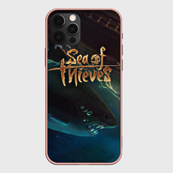 Чехол iPhone 12 Pro Max Sea of thieves