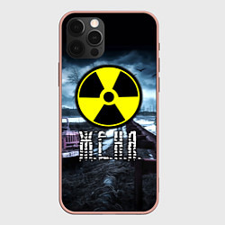 Чехол iPhone 12 Pro Max S.T.A.L.K.E.R: Женя