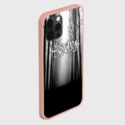 Чехол для iPhone 12 Pro Max Темный лес Burzum, цвет: 3D-светло-розовый — фото 2