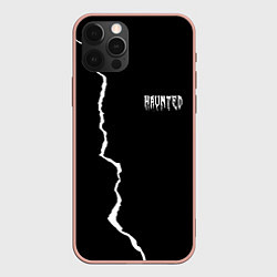 Чехол iPhone 12 Pro Max KIZARU - HAUNTED FAMILY