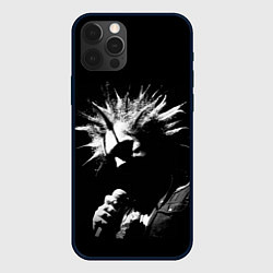 Чехол для iPhone 12 Pro Max Король и Шут Анархия спина, цвет: 3D-черный